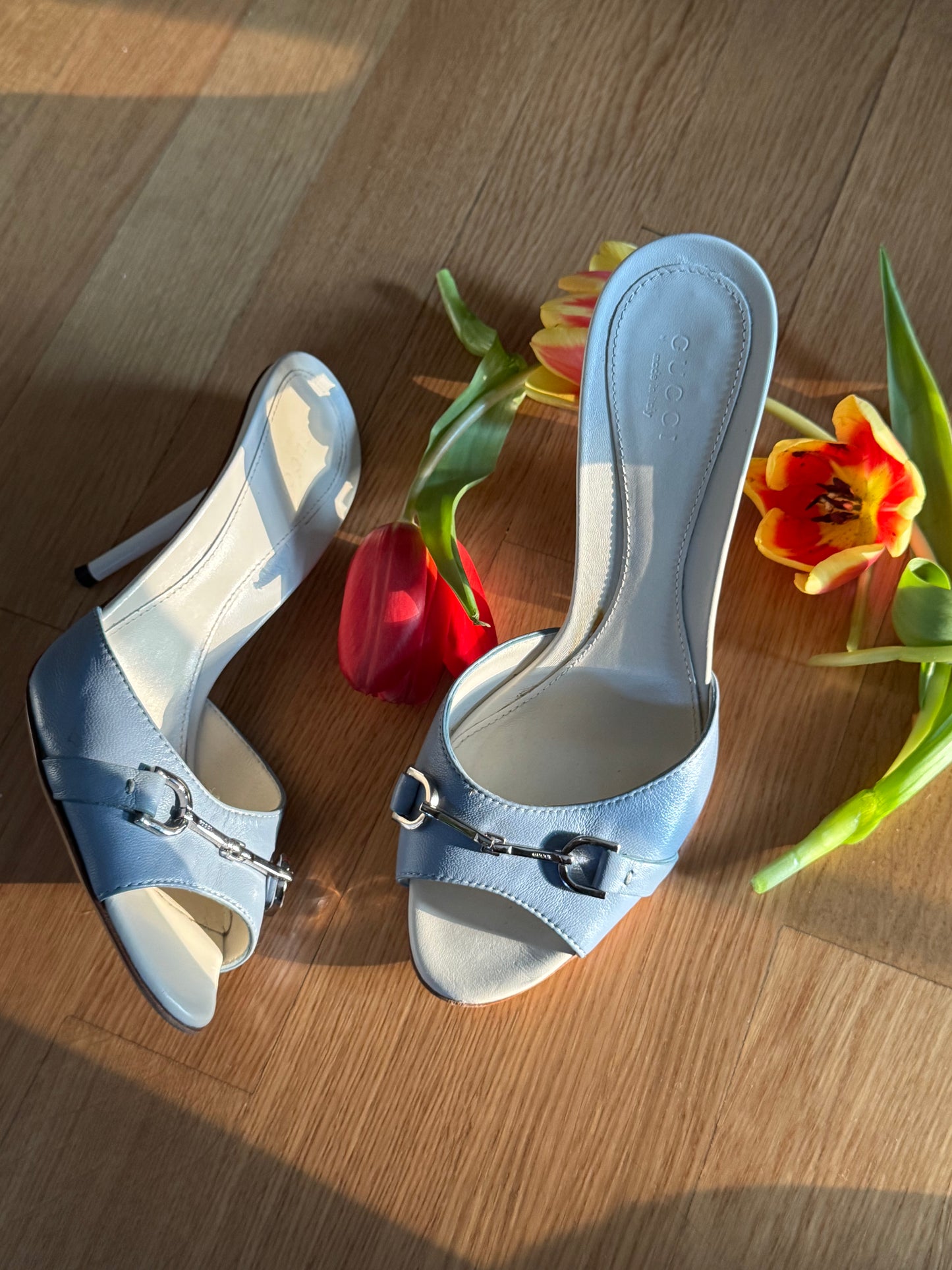 RARE Gucci Baby Blue Horsebit Mules (EU 37,5)