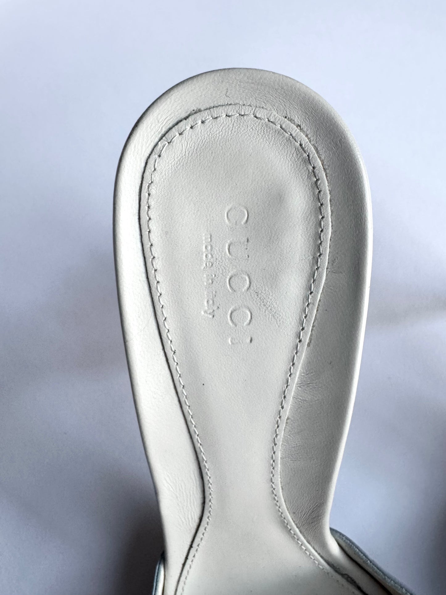 RARE Gucci Baby Blue Horsebit Mules (EU 37,5)