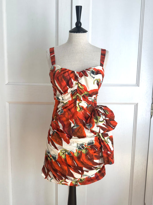 RUNWAY 2012 Dolce & Gabbana Chilli Peppers Dress (XS)