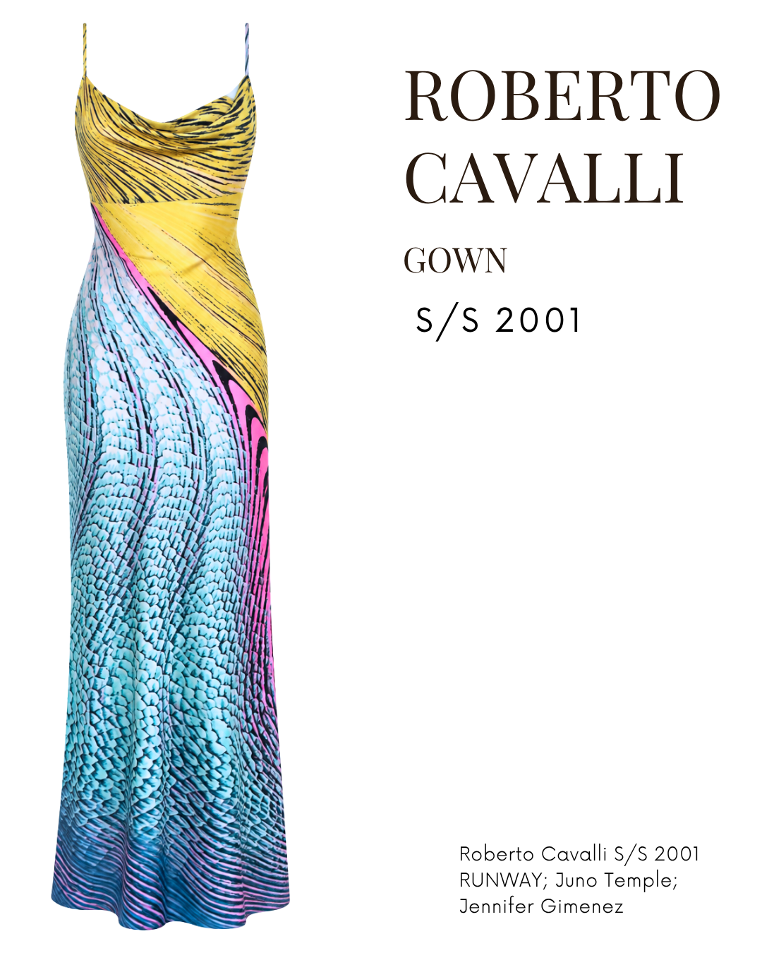 ☆ Roberto Cavalli S/S 2001 Illusion Maxi Dress Gown (M)