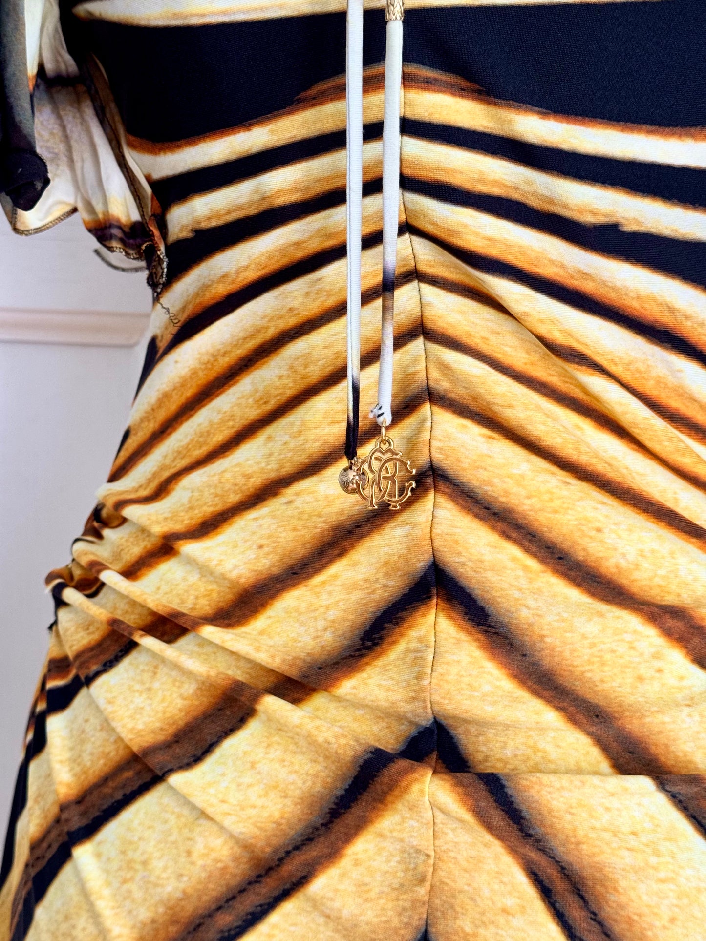 ICONIC Runway Roberto Cavalli S/S 2007 Ray Of Sun Mini Butterfly Dress (S and M)