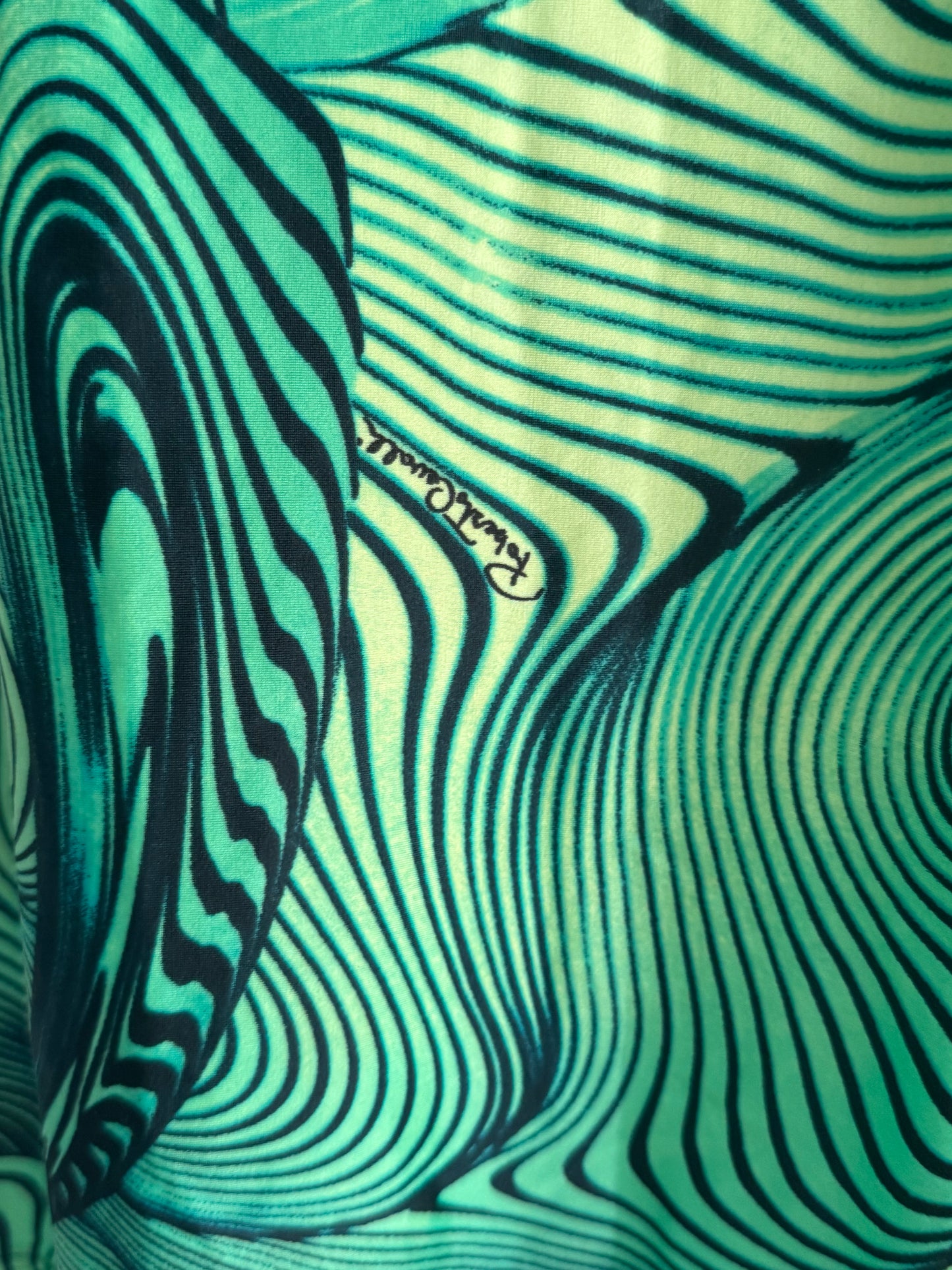 Roberto Cavalli S/S 2001 Green Illusion Print Dress (XS)