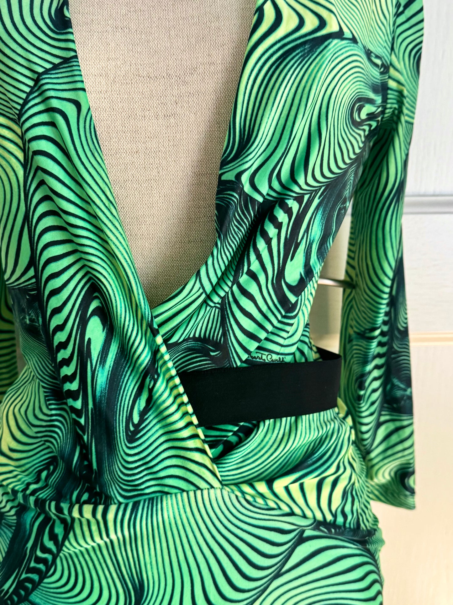 Roberto Cavalli S/S 2001 Green Illusion Print Dress (XS)