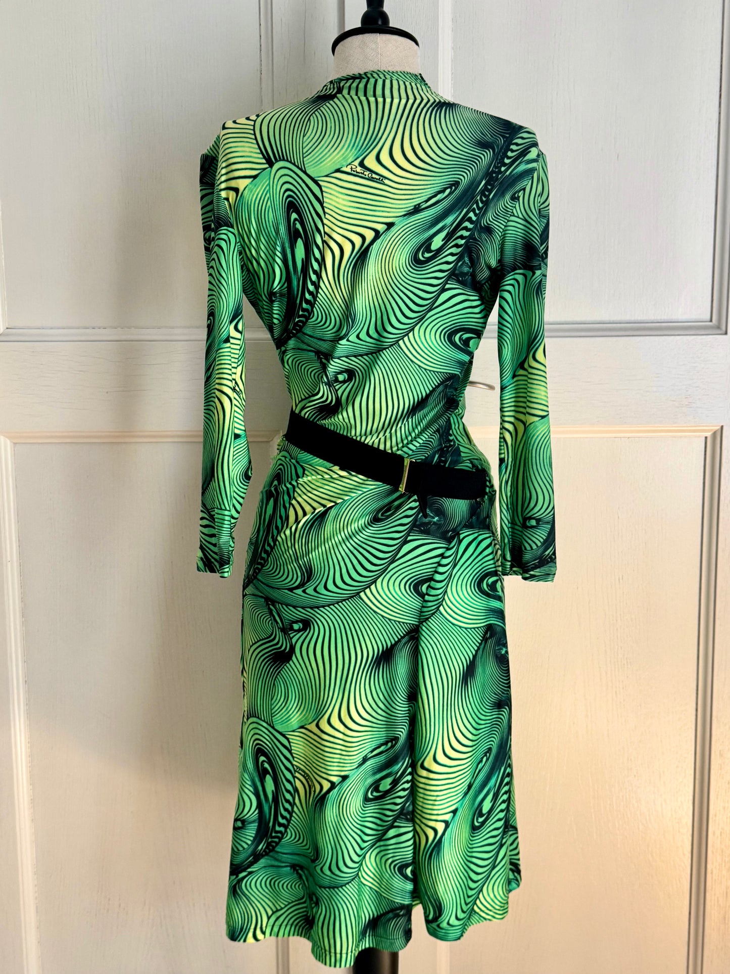 Roberto Cavalli S/S 2001 Green Illusion Print Dress (XS)