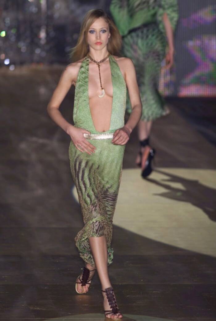 Roberto Cavalli S/S 2001 Green Illusion Print Dress (XS)
