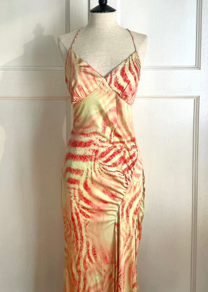 Roberto Cavalli Class Cavalli F/W 2001 Slip Gown (M)